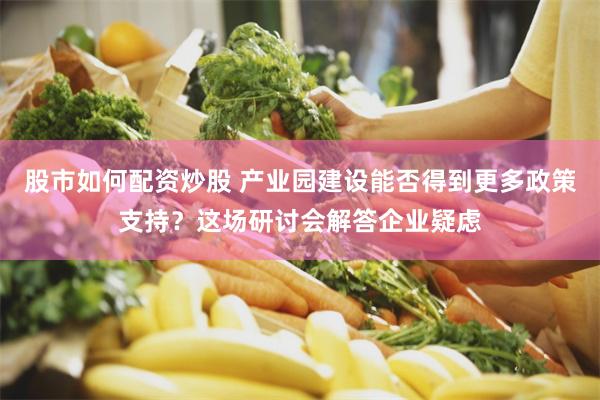 股市如何配资炒股 产业园建设能否得到更多政策支持？这场研讨会解答企业疑虑