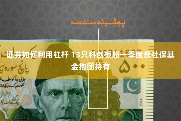 证券如何利用杠杆 13只科创板股一季度获社保基金抱团持有