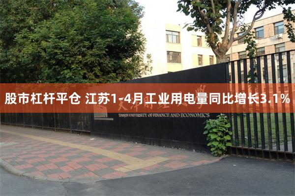 股市杠杆平仓 江苏1-4月工业用电量同比增长3.1%