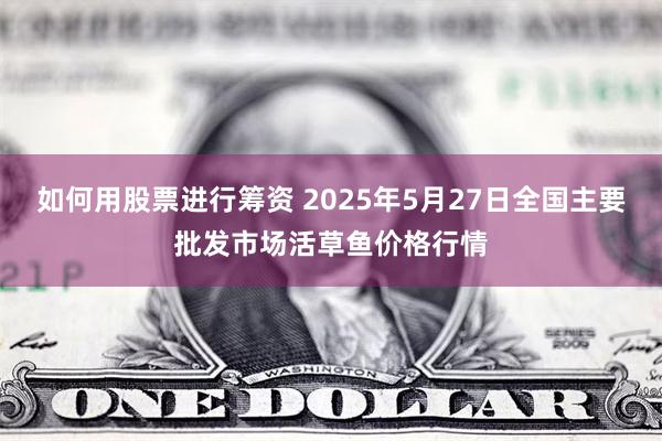 如何用股票进行筹资 2025年5月27日全国主要批发市场活草鱼价格行情
