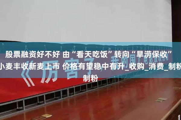 股票融资好不好 由“看天吃饭”转向“旱涝保收” 小麦丰收新麦上市 价格有望稳中有升_收购_消费_制粉