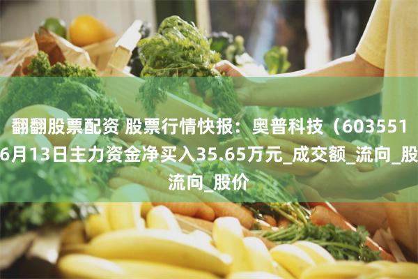 翻翻股票配资 股票行情快报：奥普科技（603551）6月13日主力资金净买入35.65万元_成交额_流向_股价