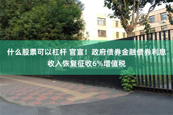 什么股票可以杠杆 官宣！政府债券金融债券利息收入恢复征收6%增值税