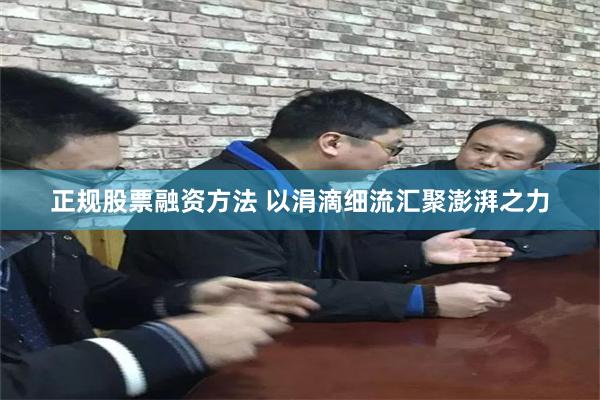 正规股票融资方法 以涓滴细流汇聚澎湃之力
